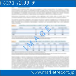 市場と産業調査レポートのイメージ